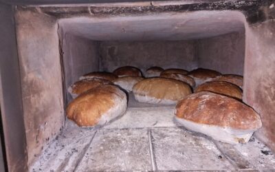 Brot gebacken im Holzbackofen
